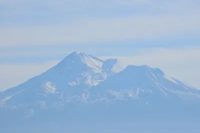 DSC_3128 (Large).JPG